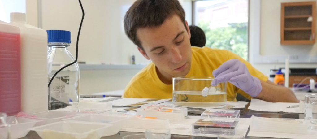 Student working in lab.