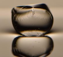 A wrapped droplet