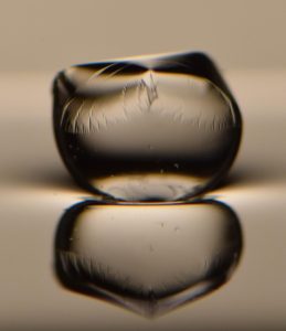 wrapped droplet