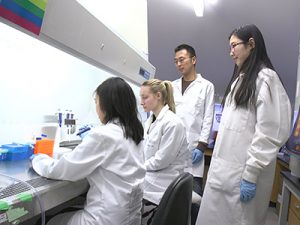 Zhen Ma and three students examine a sample in a biological safety cabinet