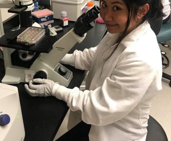 Regina Catague works on a microscope in a laboratory