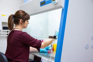 Professor Patteson at work in a fume hood in her laboratory.