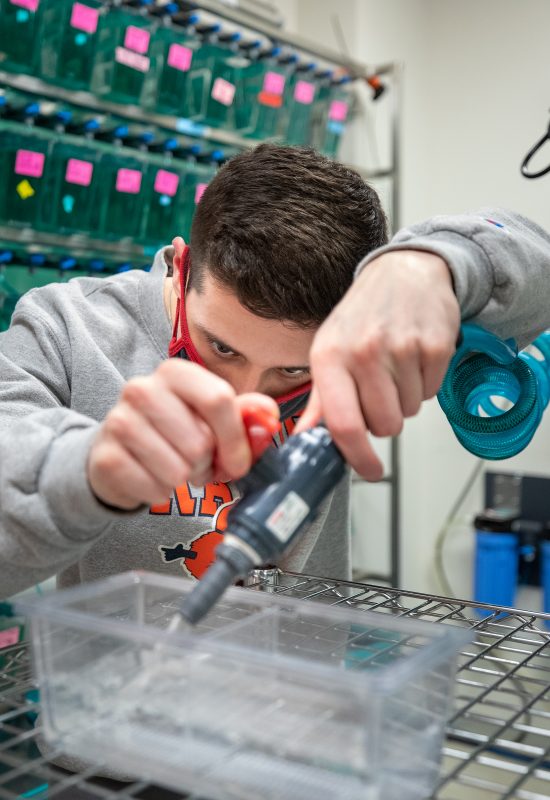 A student pipettes a liquid in a laboratory