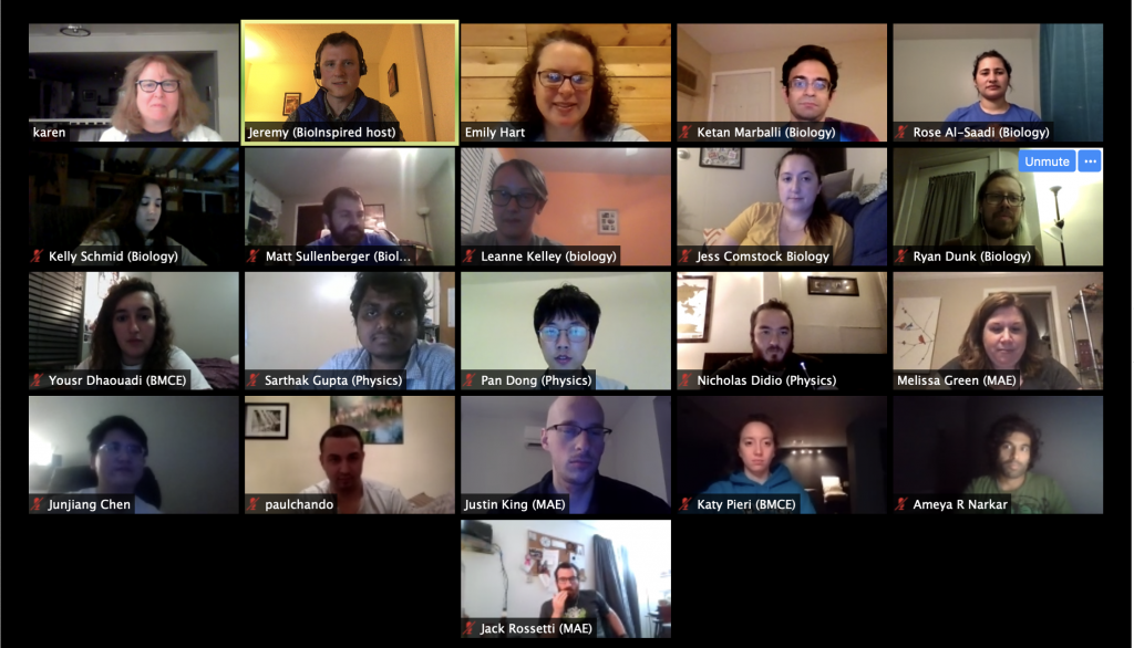 A grid of people participating in a Zoom meeting