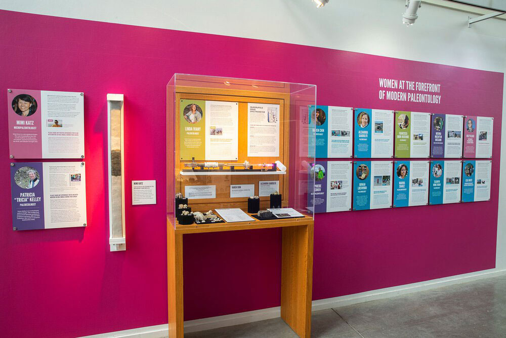 A fucsia wall in a museum with 10-12 profiles of women scientists, including photographs and text.