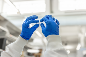 A pair of gloved hands holds a small piece of biomedical foam