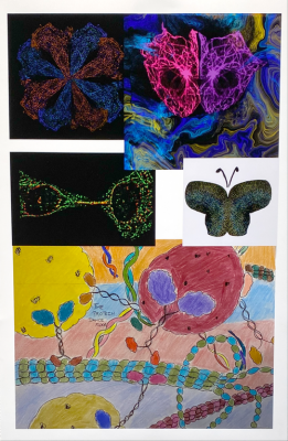 A montage of several colorful drawings and microscope images