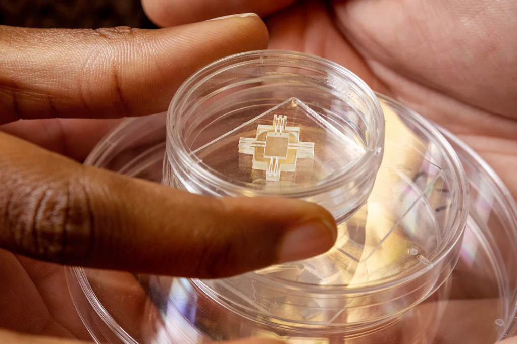A microdevice (nickel-sized) in a Petri dish held in someone's hands.