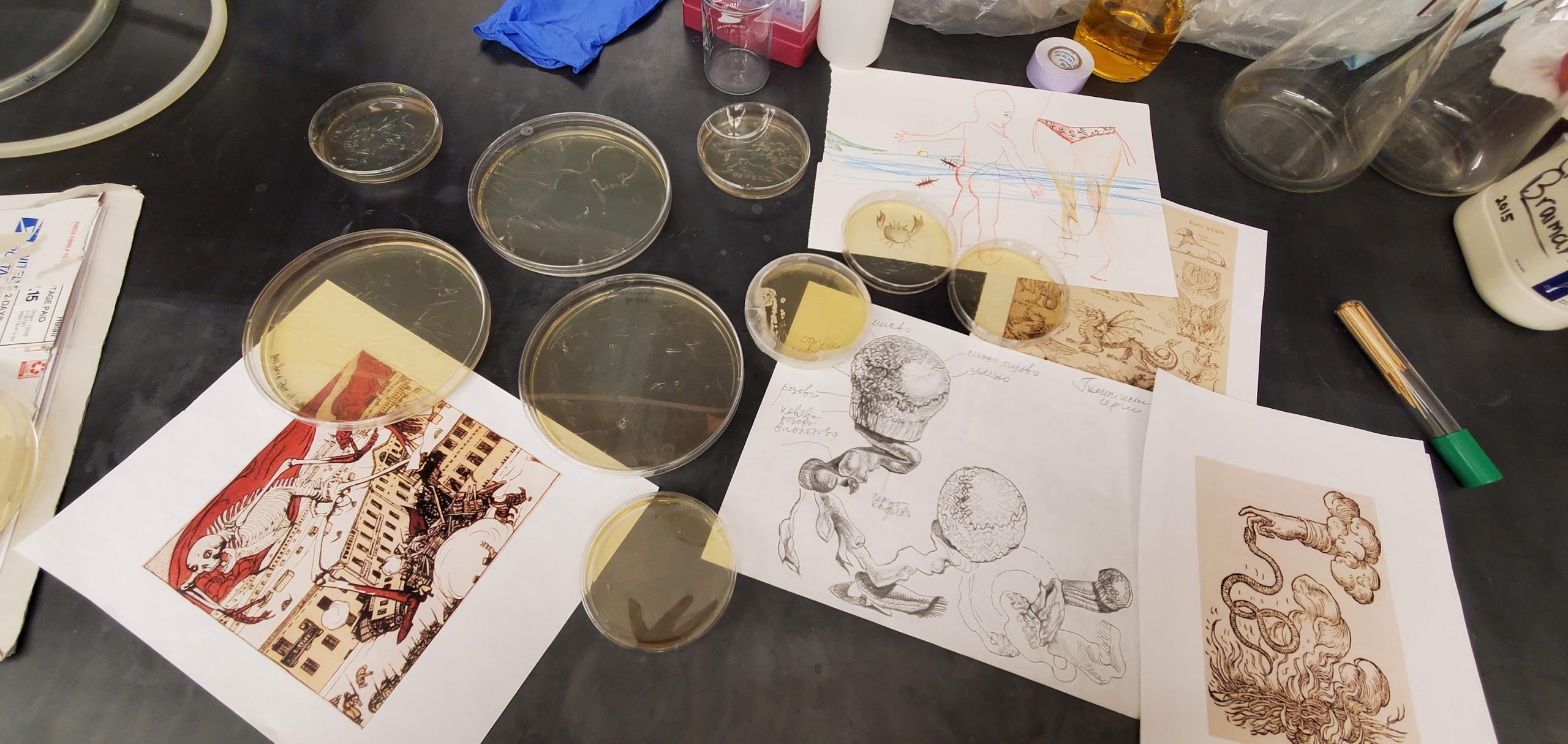Bio-inspired art pictures with petri dishes on a benchtop