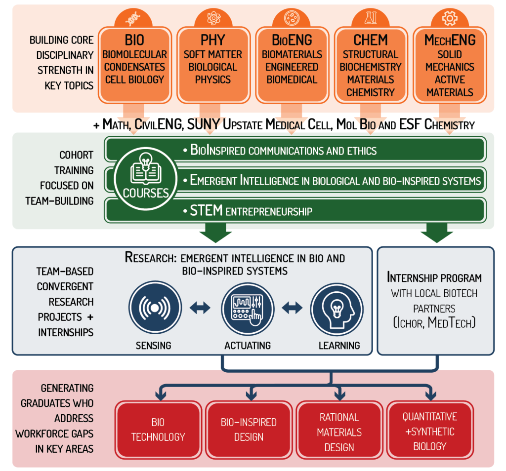 Graphical overview of the EmIRGE Training Program showing the five core departments in orange, the three courses in green, the main research themes in blue, and skills outcomes in red.