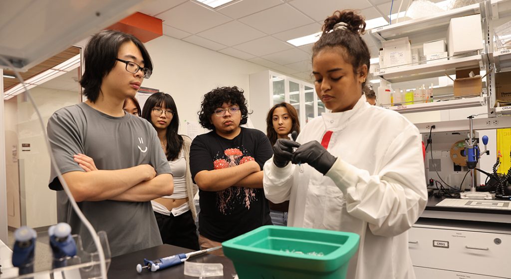 Students in lab