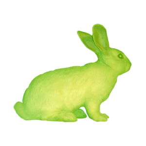 Fluorescent color bunny